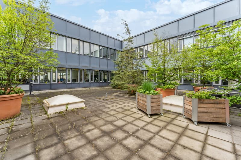 Exterior view of an office building with tiled courtyard, several large potted trees, and a flat rooftop with skylights