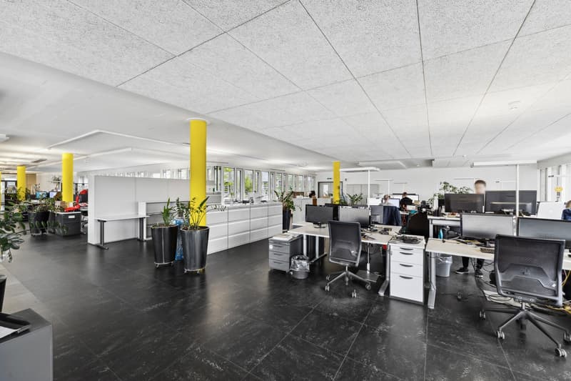 Modern office with large desks, yellow pillars, potted plants, open spaces, and large windows