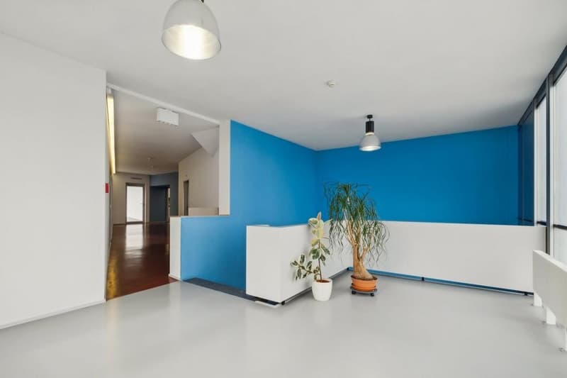 white and blue walls, white floor, white ceiling, large windows, ceiling lamp, two potted plants