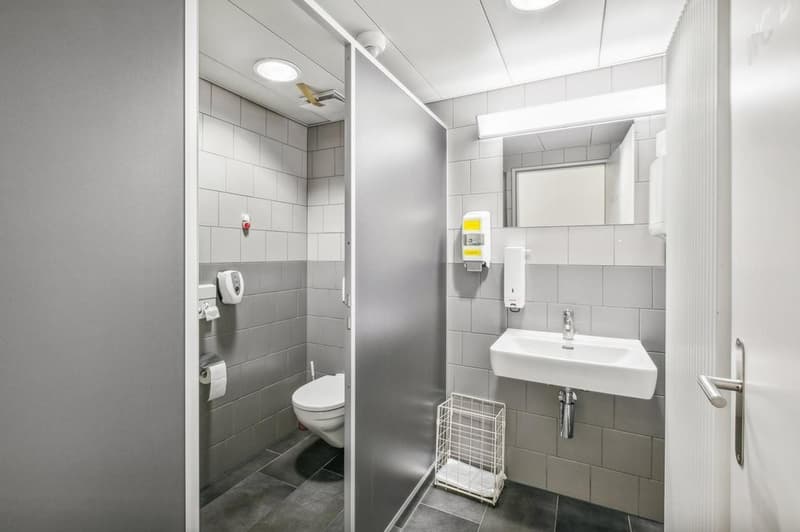 Bathroom with sink, toilet, mirror, and shelves.