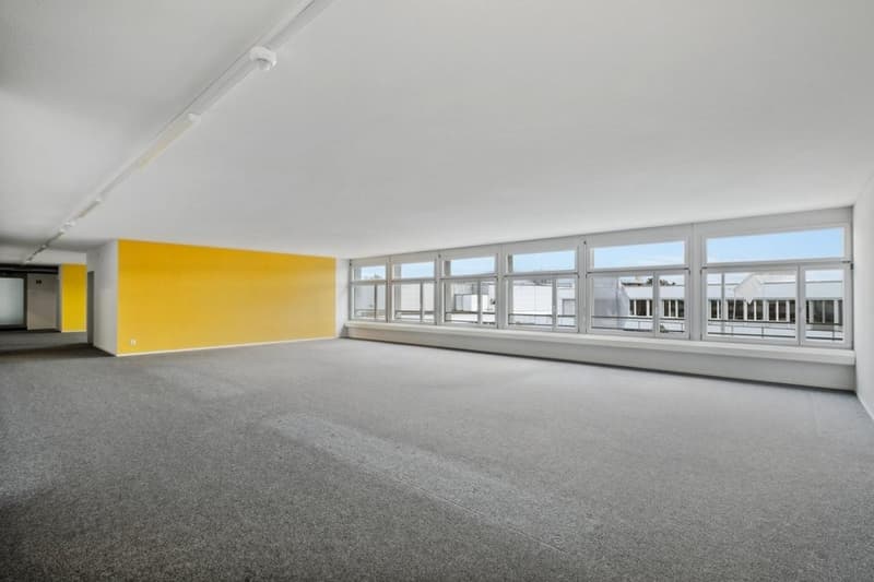 Empty room with carpet floor, yellow wall, long row of windows, modern ceiling