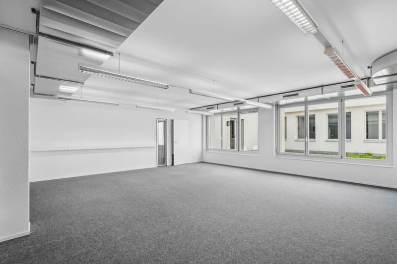 empty room, white walls, gray carpet, multiple windows, ceiling lights