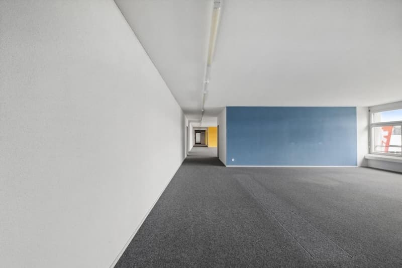 Empty hallway with white walls, gray floor, and a blue accent wall