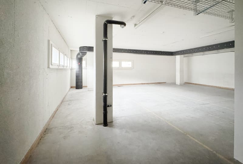 empty basement with cement floor, two small windows, two pillars