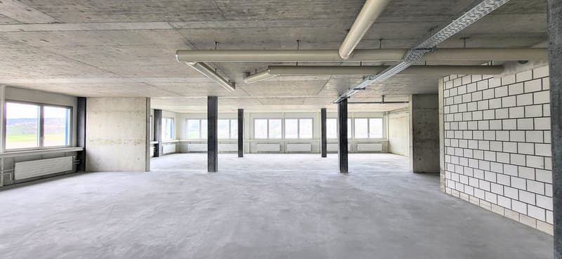 Empty room, white tiles on wall, concrete floor, steel beams, large windows