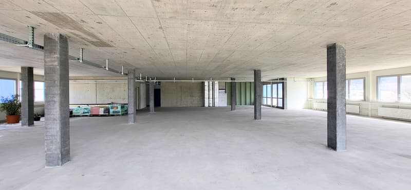 Empty room with concrete floor, columns, windows and potted plants