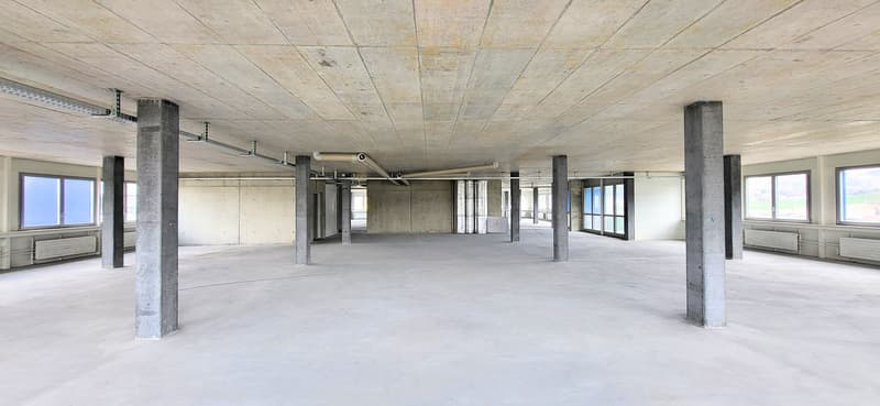 empty space, exposed concrete columns, industrial lighting, glass windows