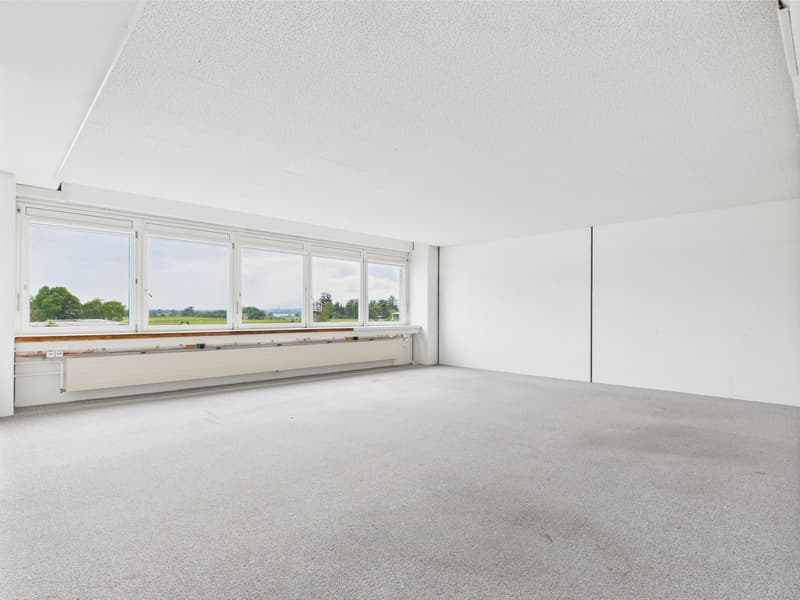 large windows with view of trees and countryside