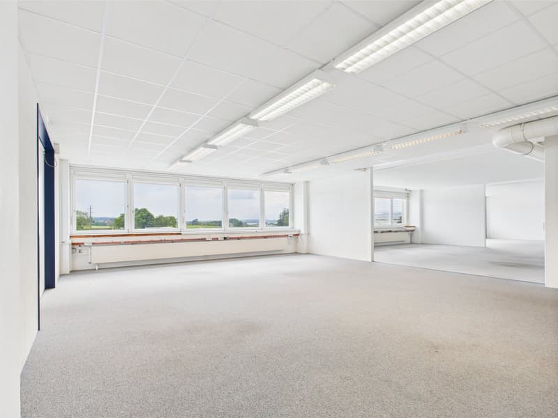 empty room, white walls, grey floor, large windows, ceiling lights