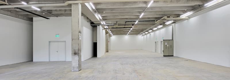 Werkstatt-/Gewerbefläche mit Lagerpotenzial – 560 m² ideal für Handwerk & Produktion (10)