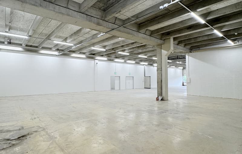 Werkstatt-/Gewerbefläche mit Lagerpotenzial – 560 m² ideal für Handwerk & Produktion (1)