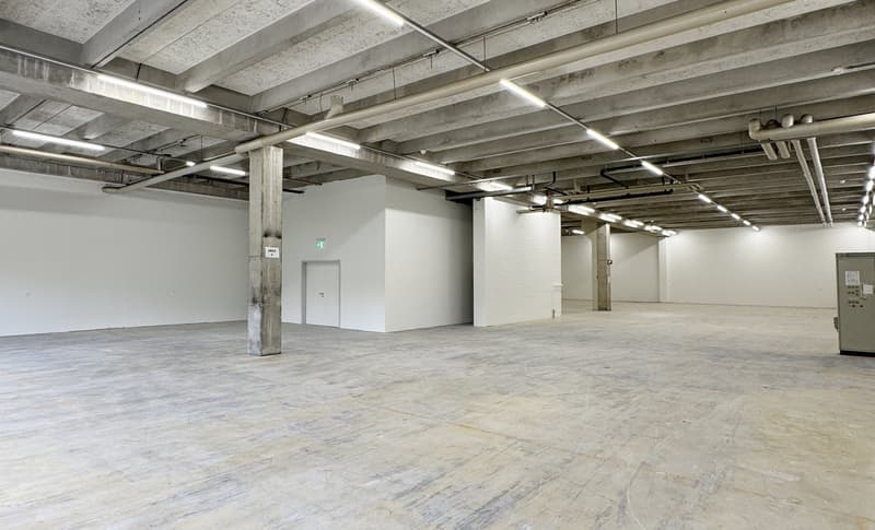 Werkstatt-/Gewerbefläche mit Lagerpotenzial – 560 m² ideal für Handwerk & Produktion (8)