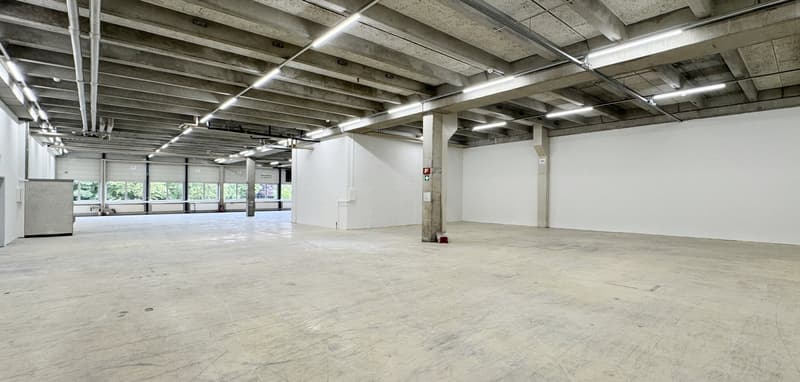 Werkstatt-/Gewerbefläche mit Lagerpotenzial – 560 m² ideal für Handwerk & Produktion (7)