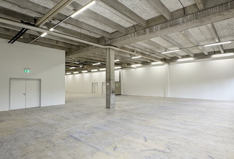 Werkstatt-/Gewerbefläche mit Lagerpotenzial – 560 m² ideal für Handwerk & Produktion (9)