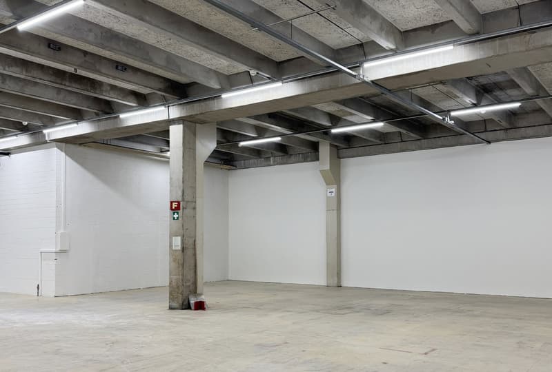 Werkstatt-/Gewerbefläche mit Lagerpotenzial – 560 m² ideal für Handwerk & Produktion (5)