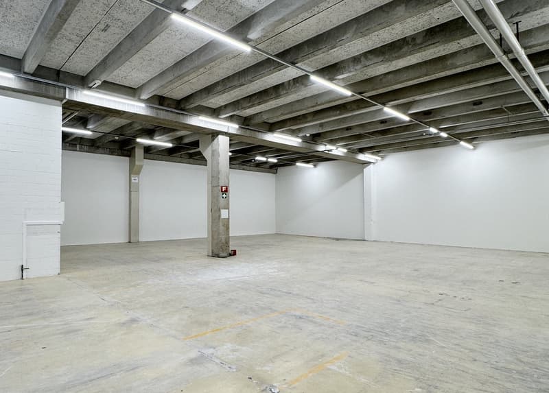 Werkstatt-/Gewerbefläche mit Lagerpotenzial – 560 m² ideal für Handwerk & Produktion (6)
