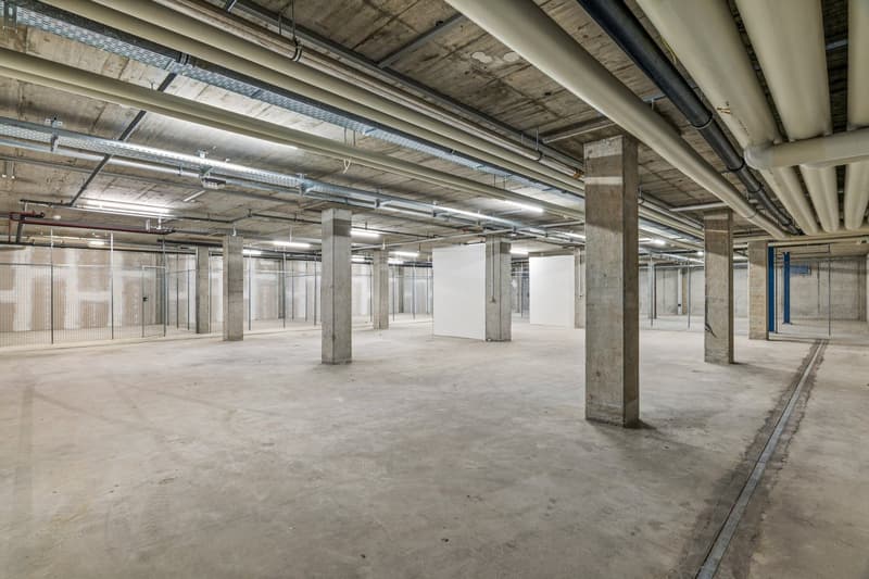 Kostengünstige Lagerfläche mit 280 m² – ideal für KMU, Gewerbe oder Onlinehandel (2)