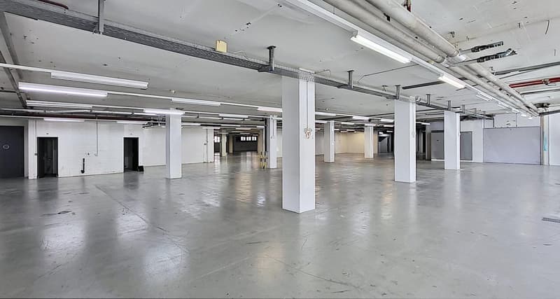 "Spannende Gewerbefläche im Souterrain mit ausreichend Tageslicht!" (3)