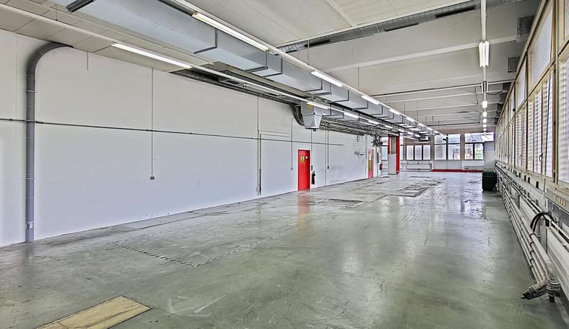 "Ihr neuer Produktionsstandort in Zofingen - knapp 3'000 m2 Produktion, Lager und Büro!" (4)