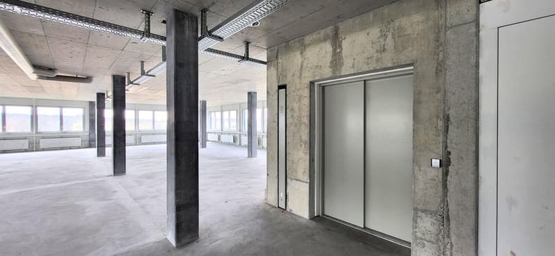 "Flexible Gewerbefläche – ideal für Produktion & Logistik" (8)
