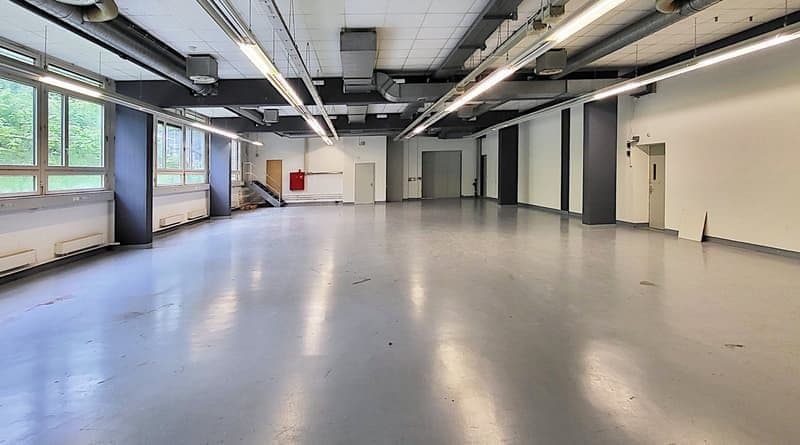 "Gewerbehalle im EG - 4 m Deckenhöhe und 1'000 kg Bodenlast - 431 m2 in Hombrechtikon" (2)