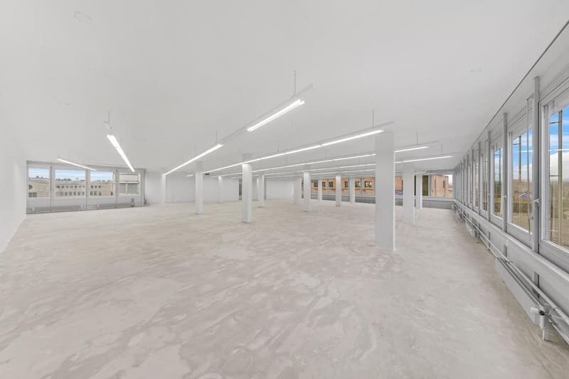 "Grosszügige Gewerbefläche mit 1'000 kg/m² Bodenlast!" (6)