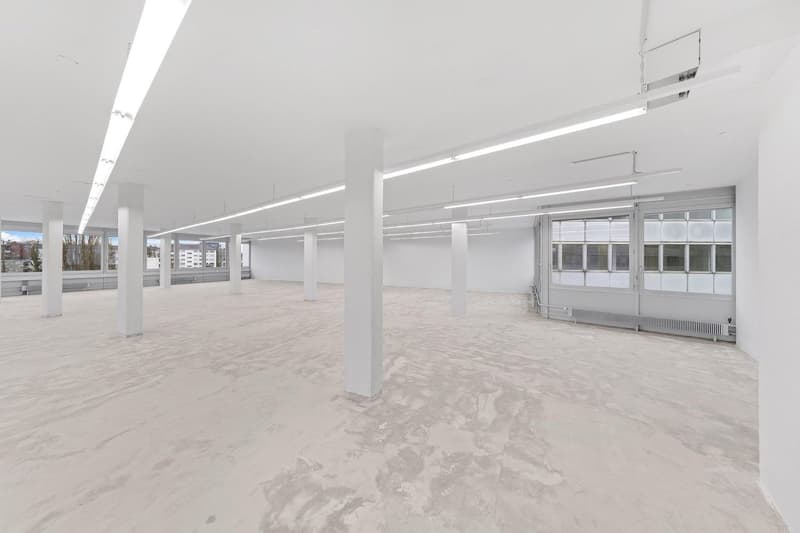"Grosszügige Gewerbefläche mit 1'000 kg/m² Bodenlast!" (4)
