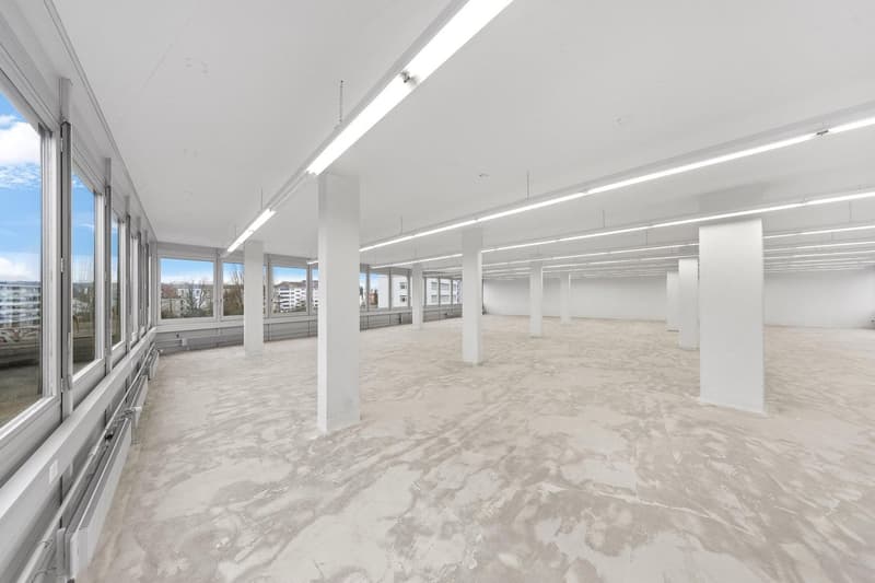 "Grosszügige Gewerbefläche mit 1'000 kg/m² Bodenlast!" (5)