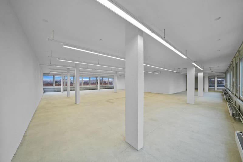 "Praktische Gewerbefläche mit 1'000 kg/m² Bodenlast - Aussicht inkl.!" (5)