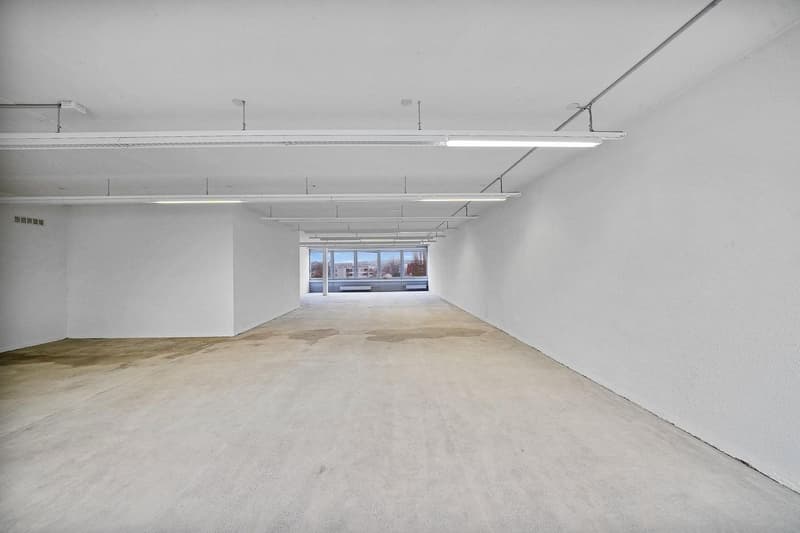 "Praktische Gewerbefläche mit 1'000 kg/m² Bodenlast - Aussicht inkl.!" (3)