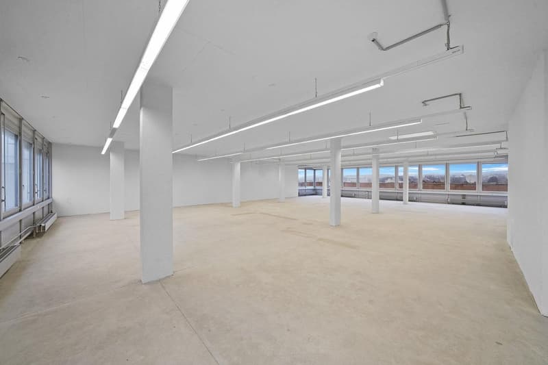 "Praktische Gewerbefläche mit 1'000 kg/m² Bodenlast - Aussicht inkl.!" (2)