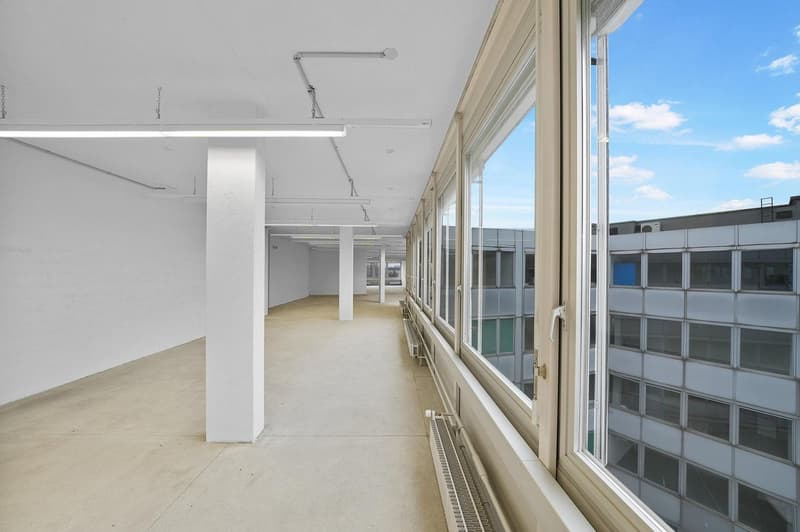 "Praktische Gewerbefläche mit 1'000 kg/m² Bodenlast - Aussicht inkl.!" (13)