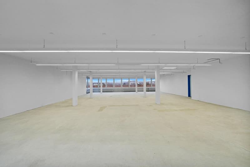 "Praktische Gewerbefläche mit 1'000 kg/m² Bodenlast - Aussicht inkl.!" (4)