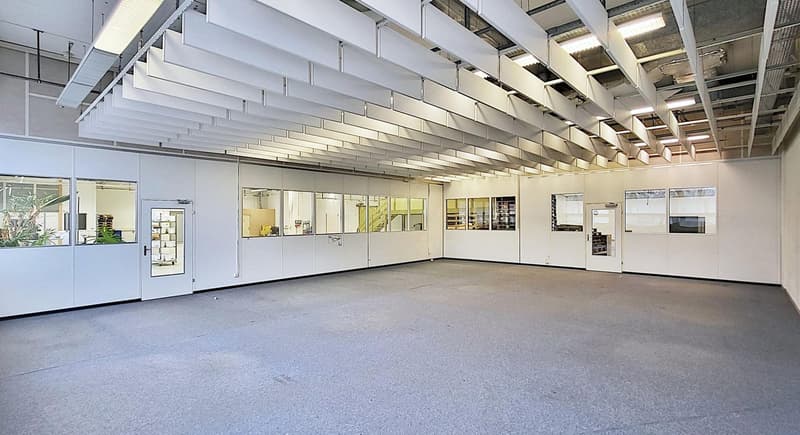 "Lagerhalle im EG - gut 4.6 m Deckenhöhe und 1'000 kg Bodenlast - 1'441 m2 in Hombrechtikon" (5)