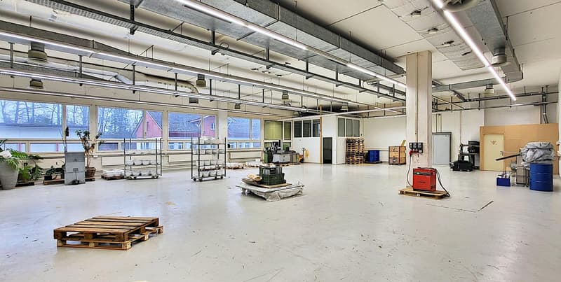 "Lagerhalle im EG - gut 4.6 m Deckenhöhe und 1'000 kg Bodenlast - 1'441 m2 in Hombrechtikon" (3)