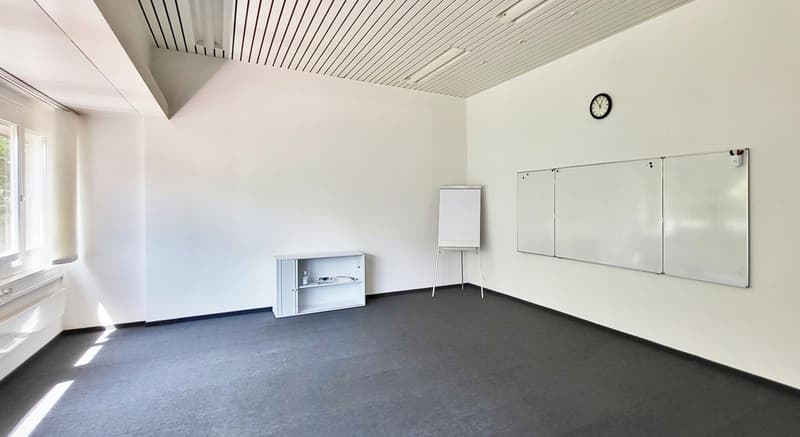 "Grosszügige Gewerbeimmobilie in Wetzikon zu vermieten" (12)