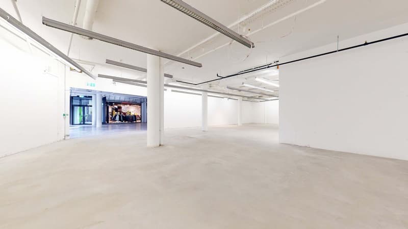 "699 m² Verkaufsfläche direkt neben New Yorker!" (5)