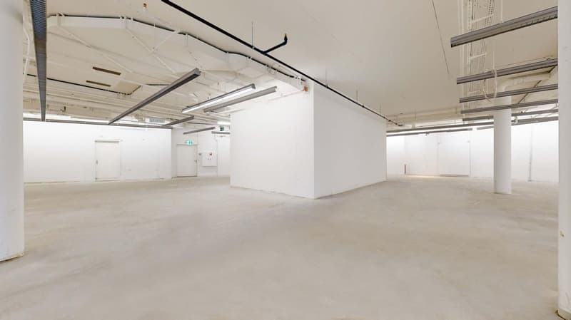 "699 m² Verkaufsfläche direkt neben New Yorker!" (7)