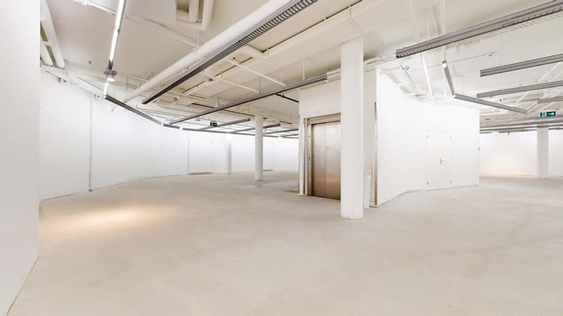 "699 m² Verkaufsfläche direkt neben New Yorker!" (6)