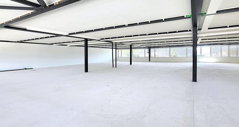 "Jetzt auch ab 240 m2 - ebenerdige Gewerbeflächen in Root!" (5)