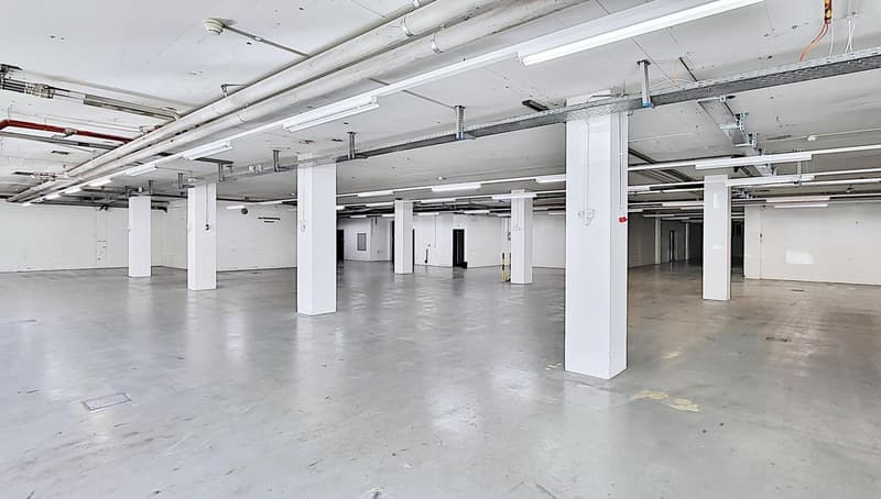 "Jetzt auch Teilflächen ab ca. 600 m2 - Gewerbeflächen/Produktion in Egg b. Zürich!" (3)