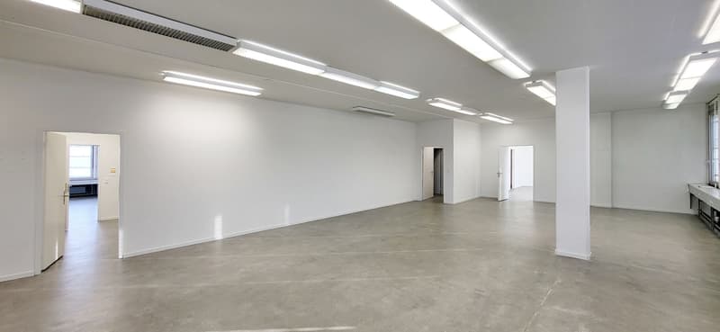 "Bezugsfertige Gewerbefläche mit 1'000 kg/m² Bodenlast!" (5)