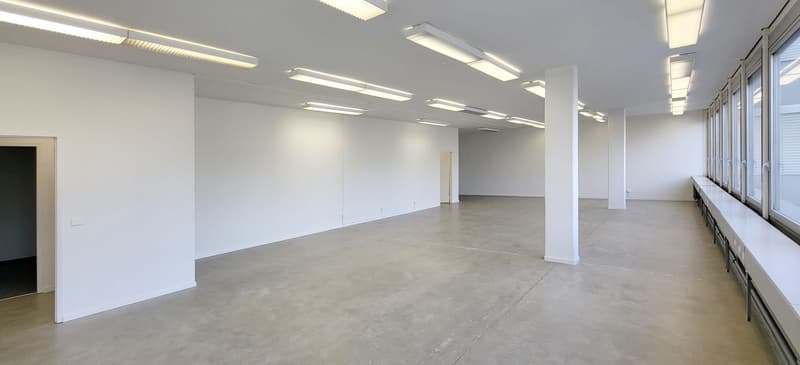 "Bezugsfertige Gewerbefläche mit 1'000 kg/m² Bodenlast!" (4)