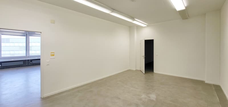 "Bezugsfertige Gewerbefläche mit 1'000 kg/m² Bodenlast!" (7)