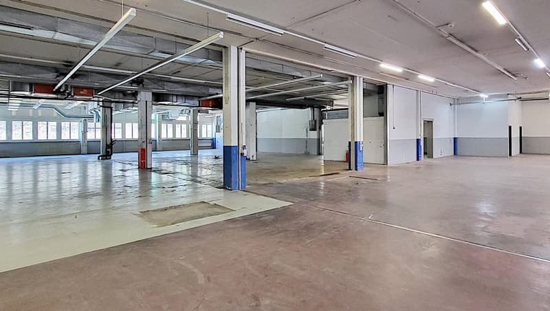Seltene Gewerbe-/Produktionsfläche im Erdgeschoss! (3)