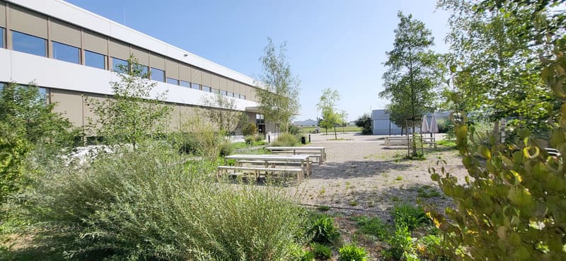 Ihre Chance auf 335 m² Bürofläche in Luterbach! (9)
