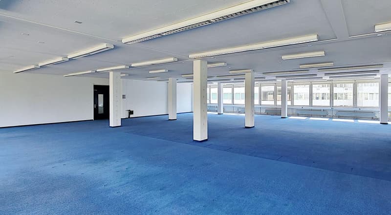 "Viel Open Space plus Sitzungszimmer!" (3)
