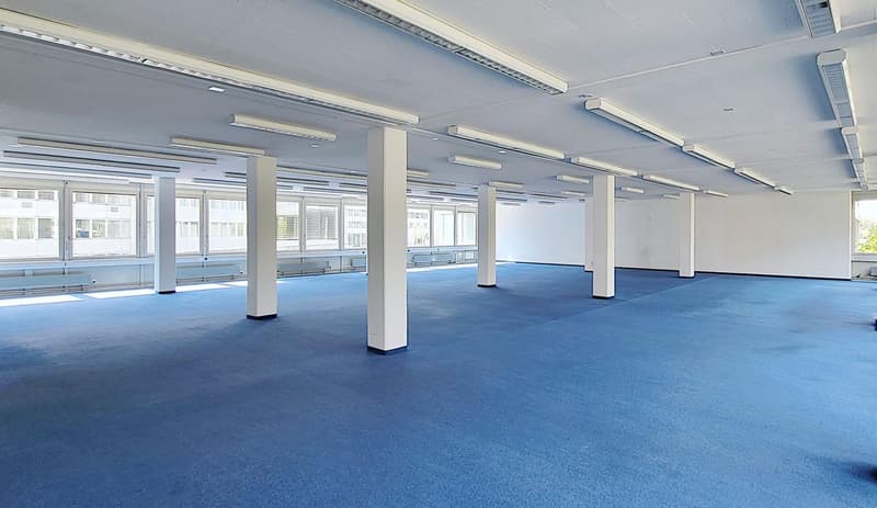 "Viel Open Space plus Sitzungszimmer!" (2)