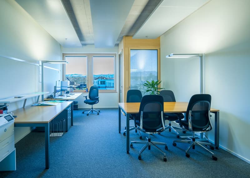 Aussergewöhnliches Bürokonzept 438 m² in Hagendorn! (4)