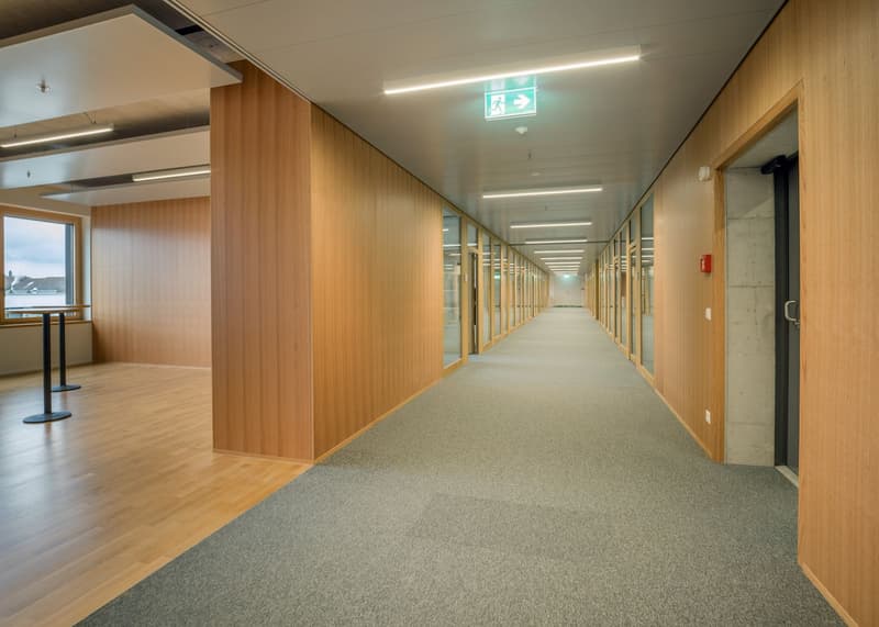 Aussergewöhnliches Bürokonzept 438 m² in Hagendorn! (2)